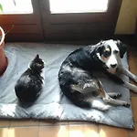 Ty Ruz Bed and breakfast