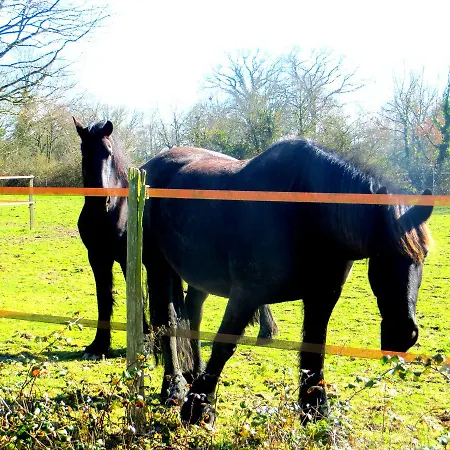 Bed & Breakfast Ty Ruz *