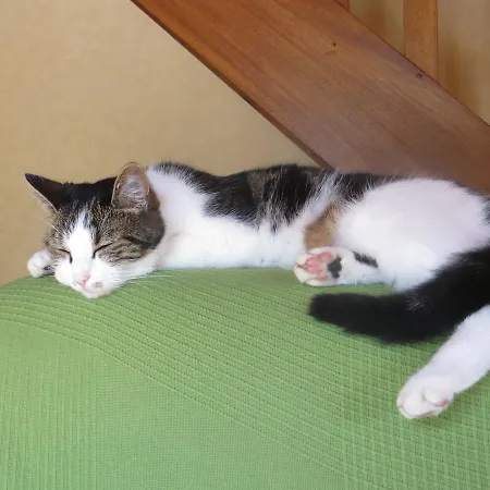 Bed & Breakfast Ty Ruz Petit-Mars