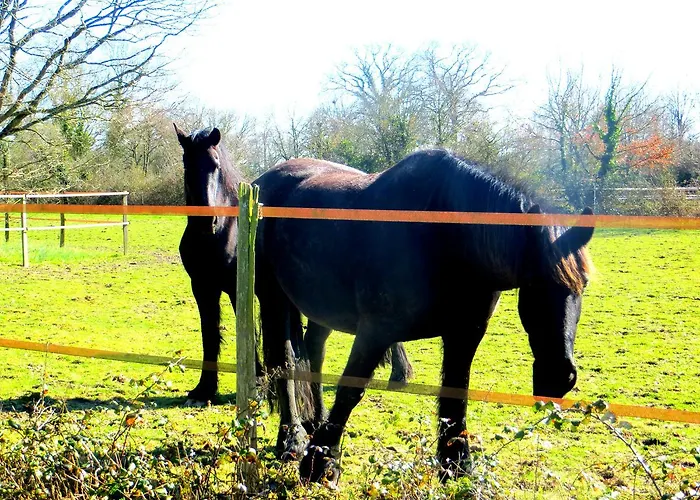 Bed & Breakfast Ty Ruz *