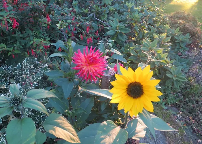 Bed & Breakfast Ty Ruz *