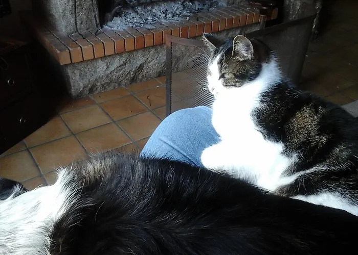 Ty Ruz Bed & Breakfast Petit-Mars