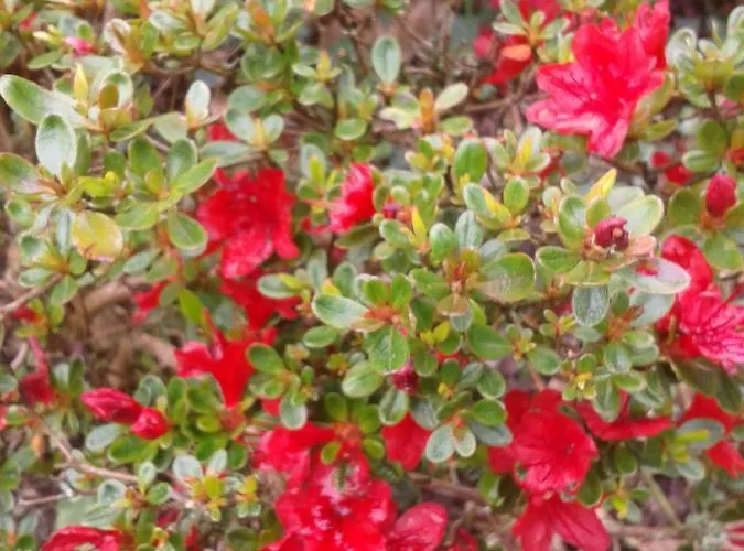 Ty Ruz Bed & Breakfast Petit-Mars