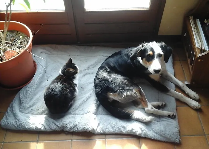 Ty Ruz Bed & Breakfast