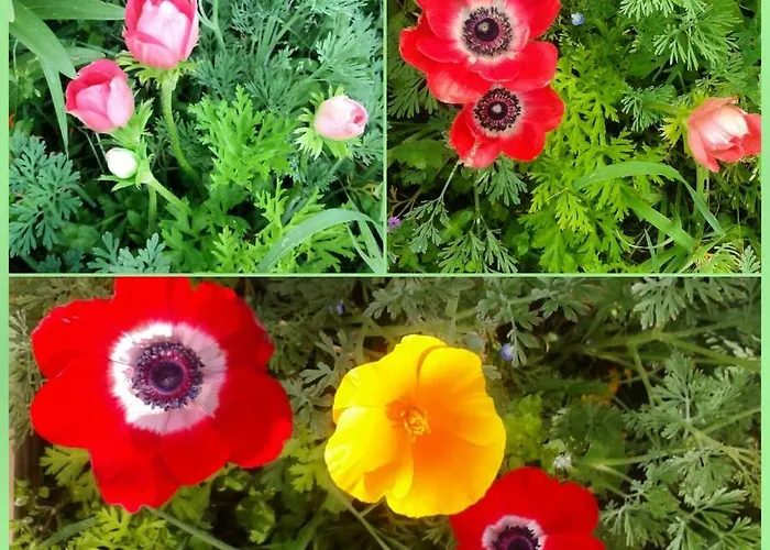 Bed & Breakfast Ty Ruz *